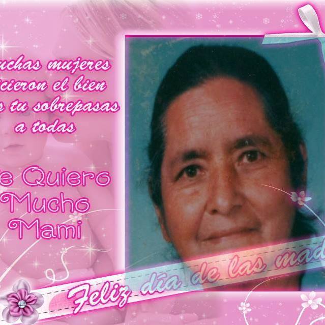 Imagen subida